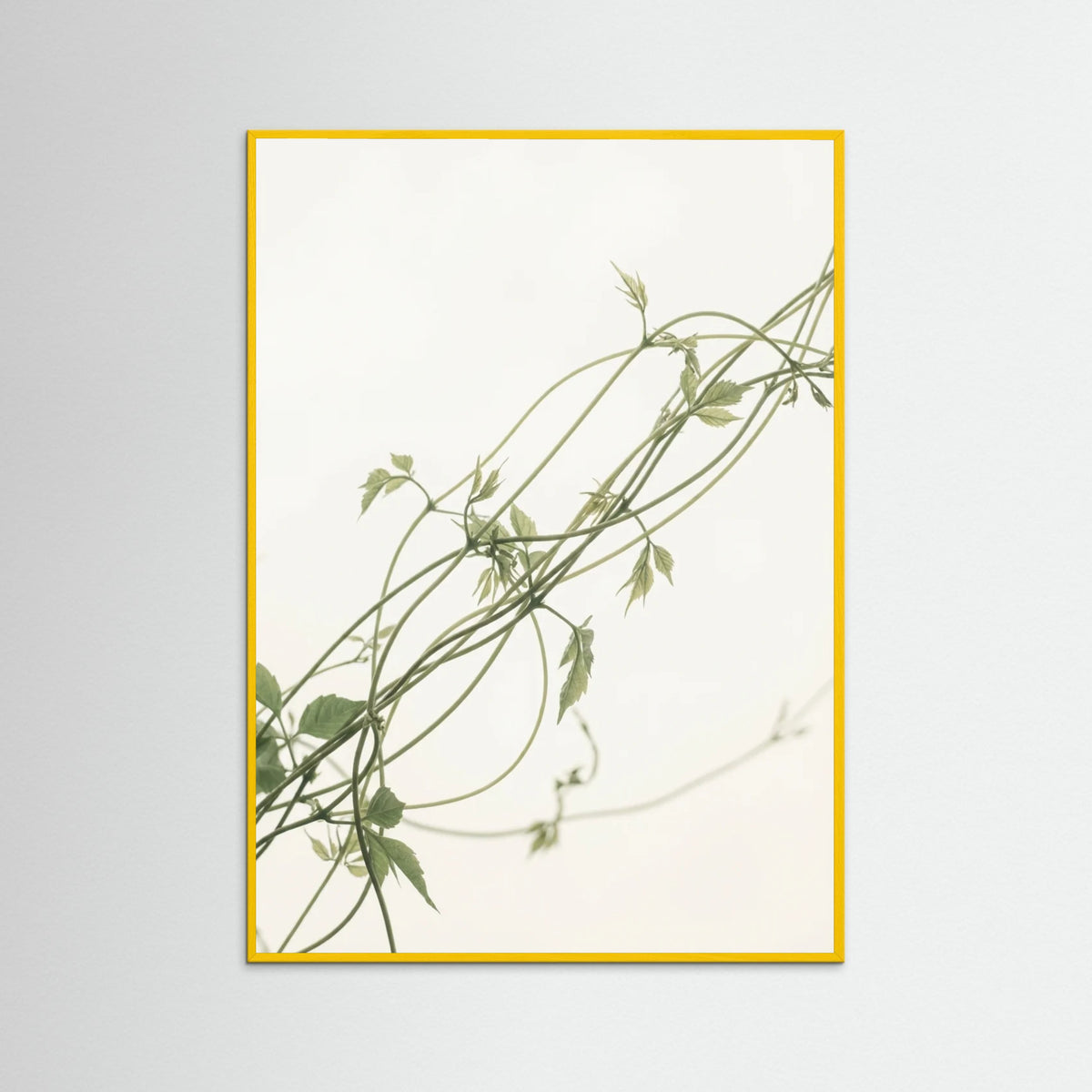 Yellow Wood Verdant Calm