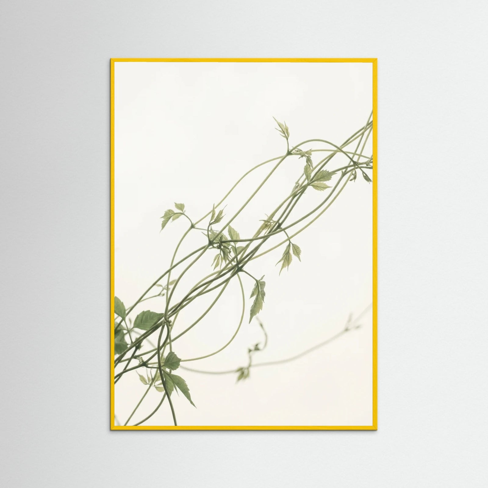 Yellow Wood Verdant Calm