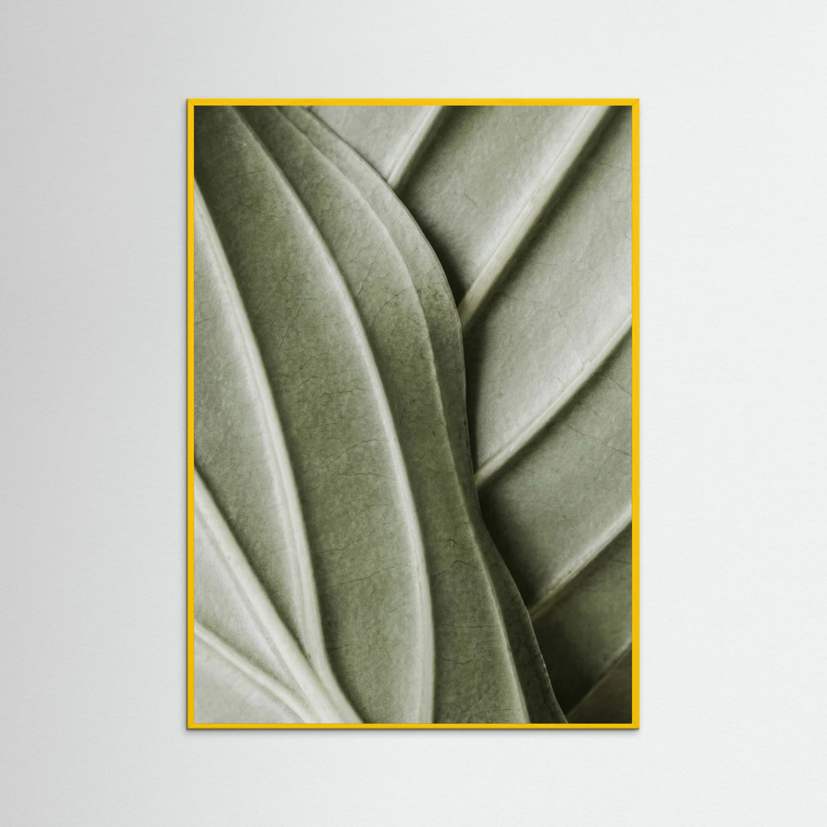 Yellow Wood Verdant Folds