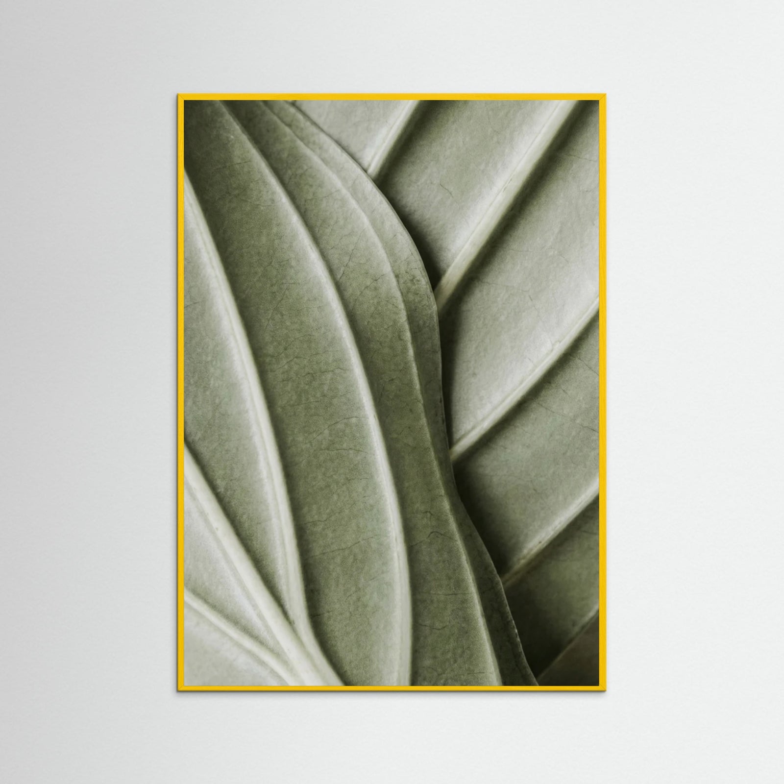 Yellow Wood Verdant Folds