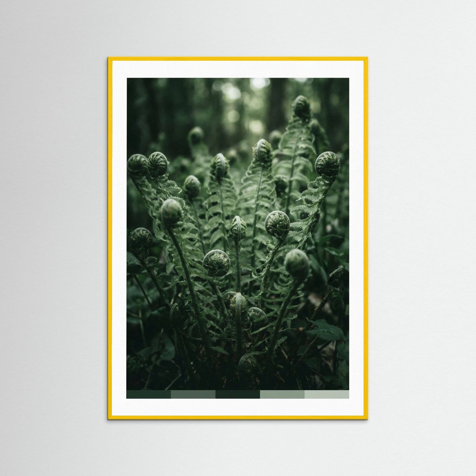 Yellow Wood Verdants Depths