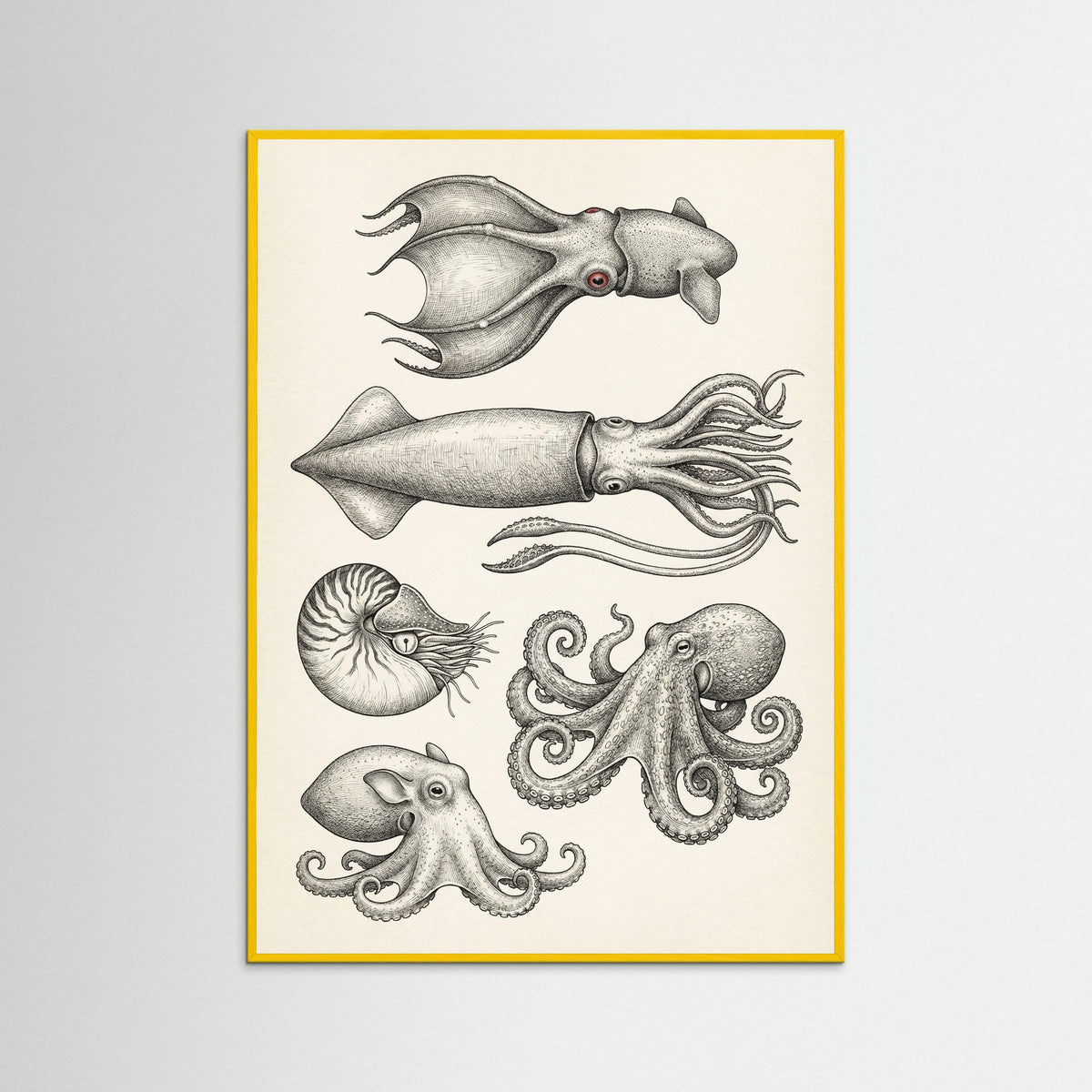 Yellow Wood Vintage Shark Study