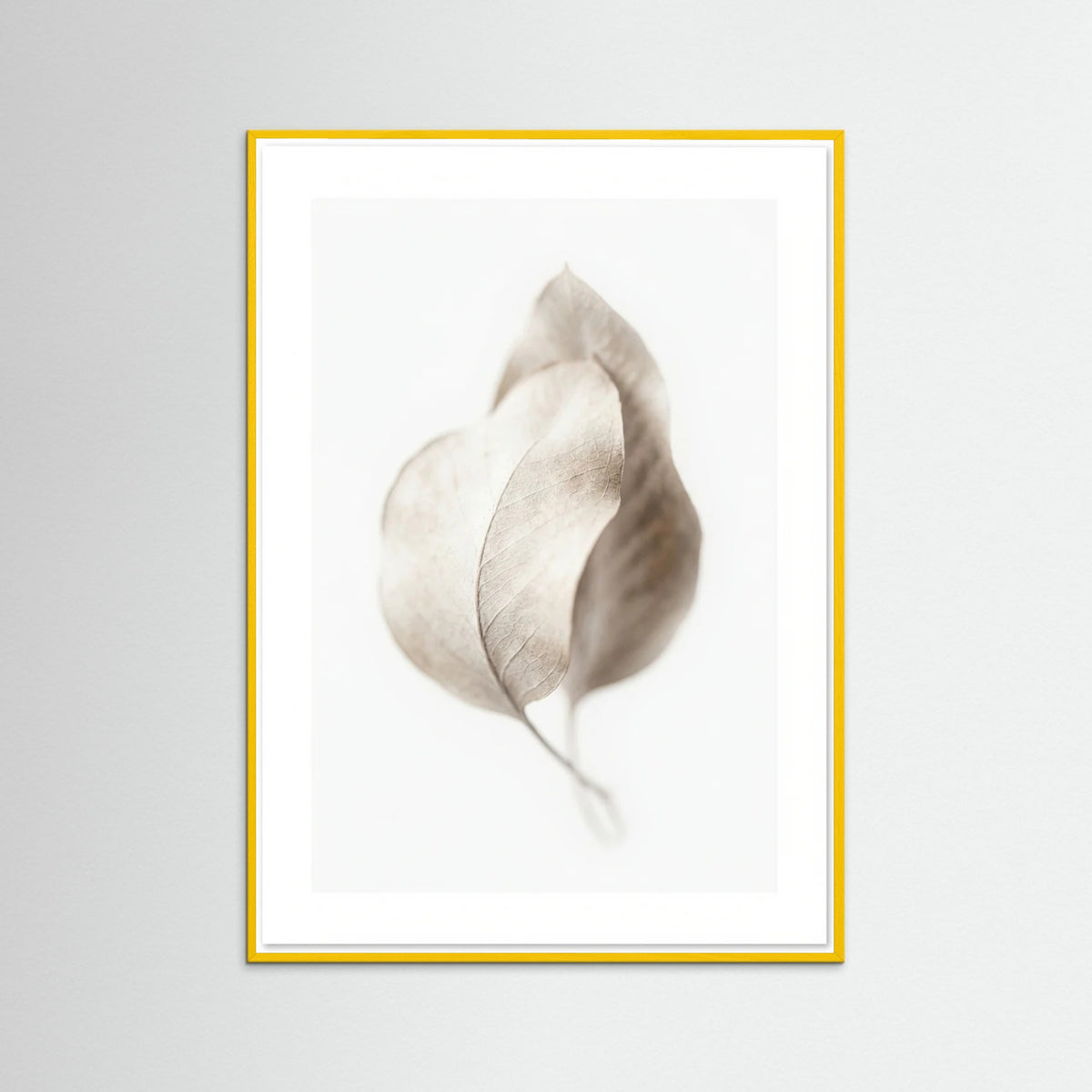 Yellow Wood Whispering Plumes