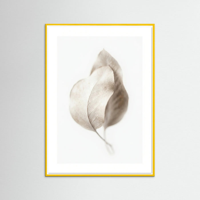 Yellow Wood Whispering Plumes