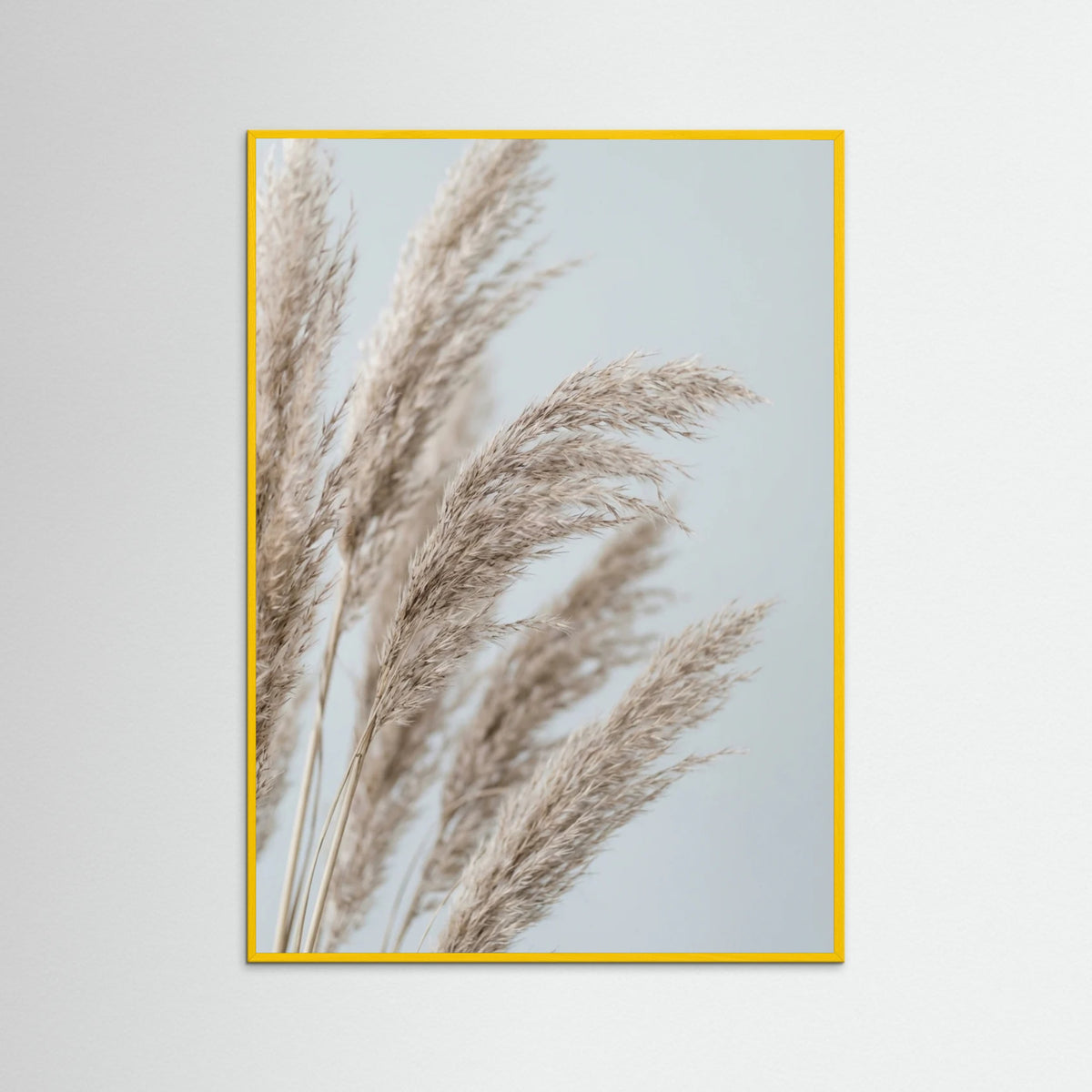 Yellow Wood Whispering Seedlings