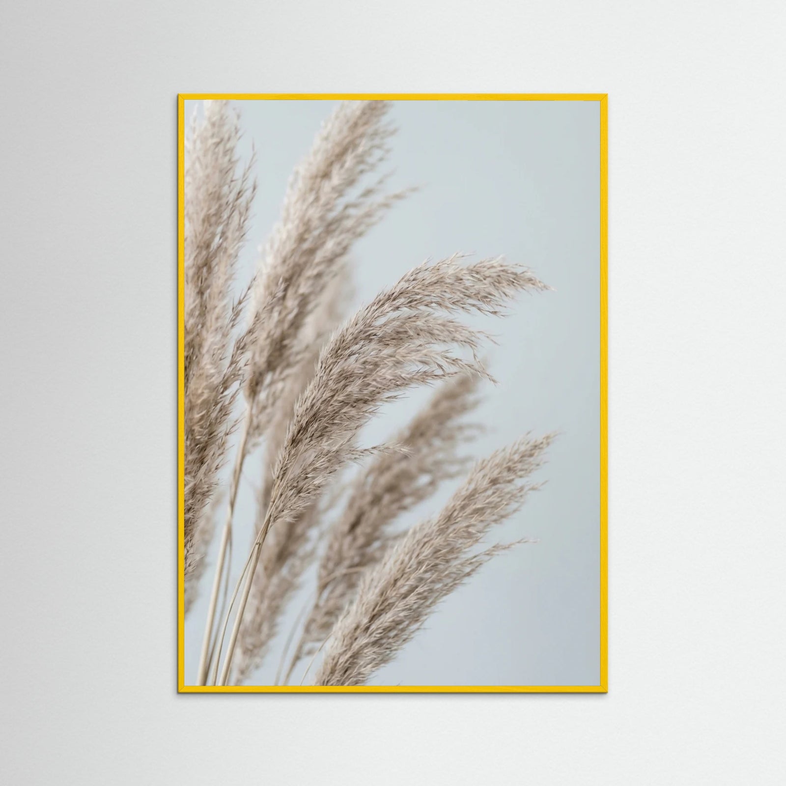 Yellow Wood Whispering Seedlings