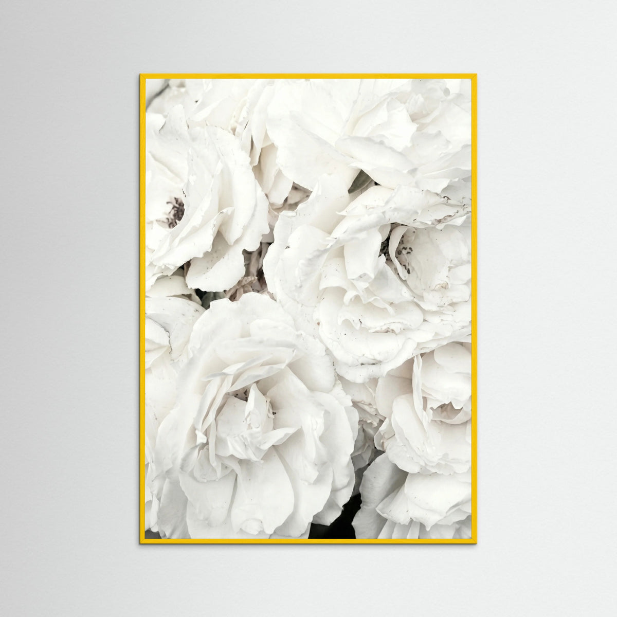 Yellow Wood White Petal Embrace