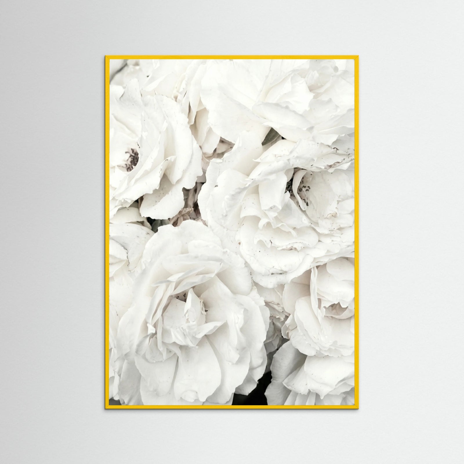 Yellow Wood White Petal Embrace