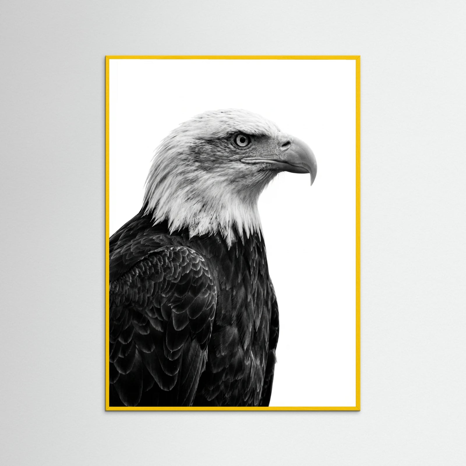 Yellow Wood Wild Profile