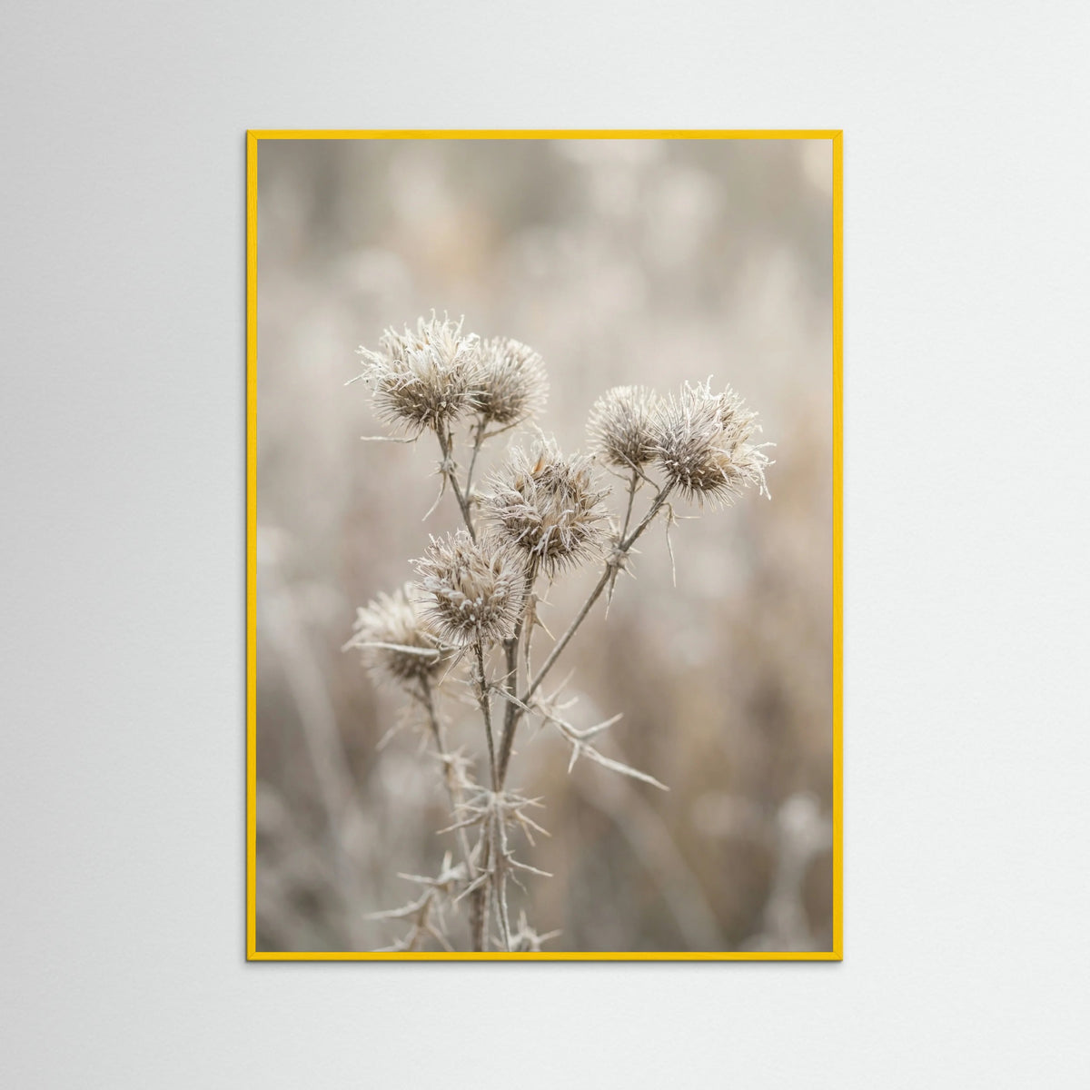 Yellow Wood Wild Whisper