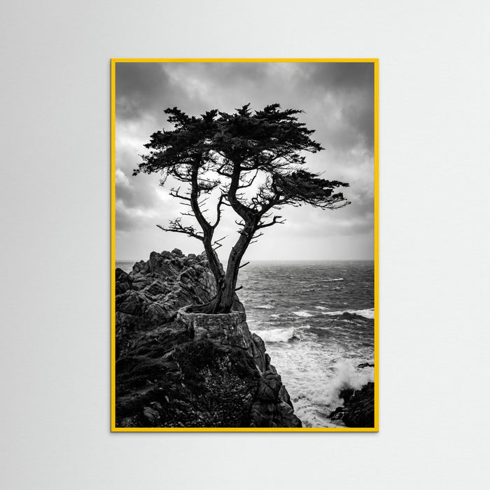 Yellow Wood Windblown Grace