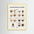 Yellow Wood Wine Spectrum Guide