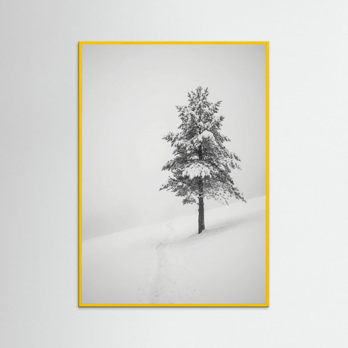 Yellow Wood Winter Ascent