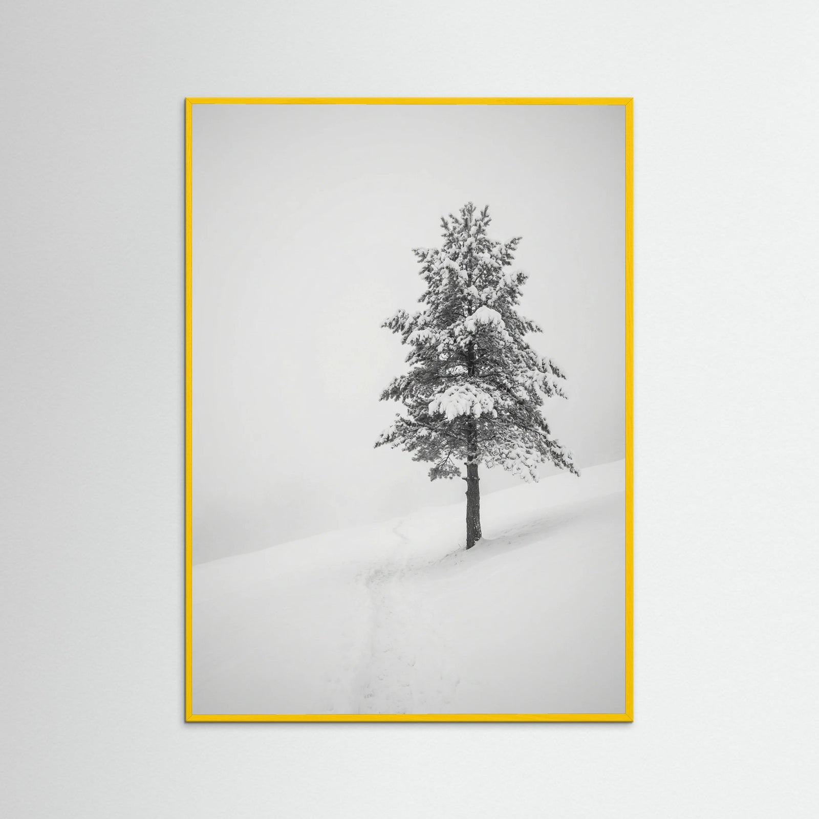 Yellow Wood Winter Ascent