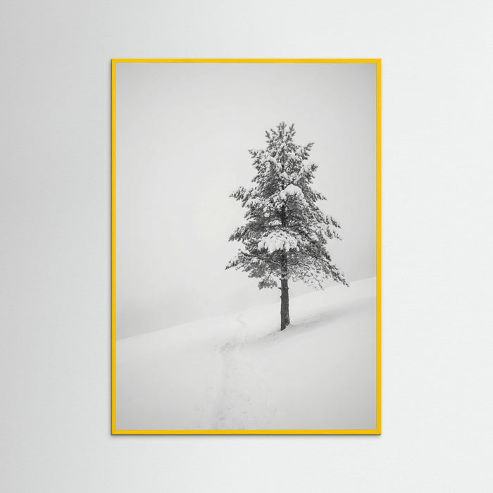 Yellow Wood Winter Ascent