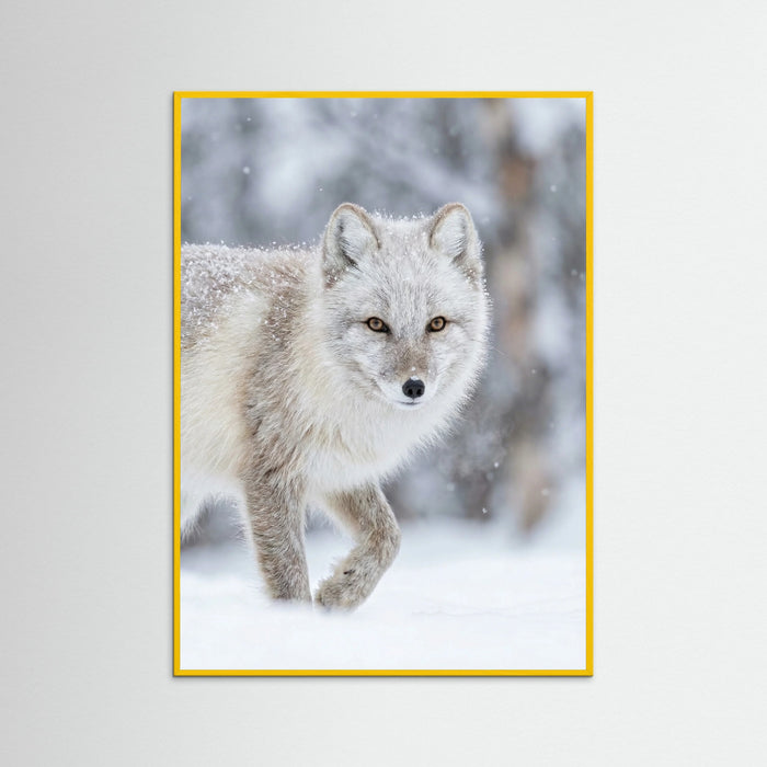 Yellow Wood Winter Majesty