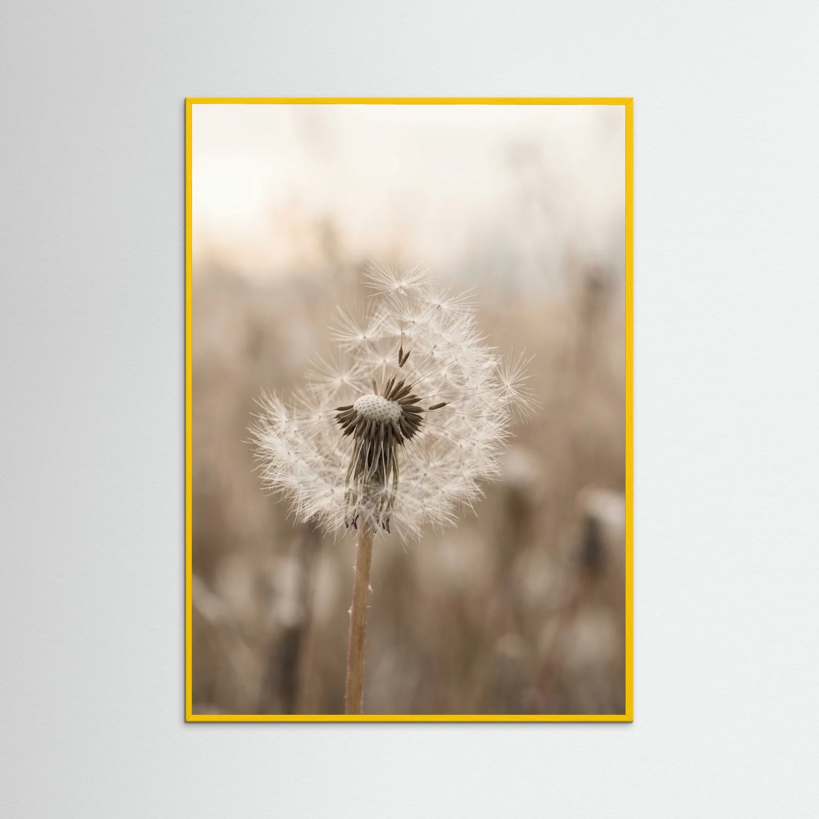 Yellow Wood Winter Whisper