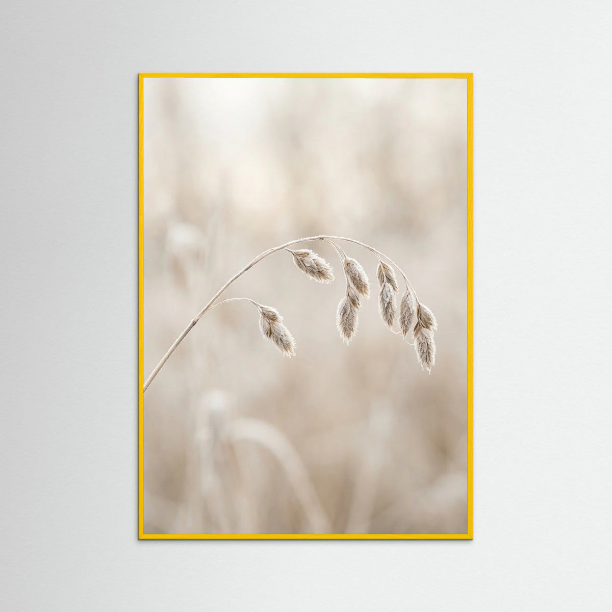 Yellow Wood Winter Whispers
