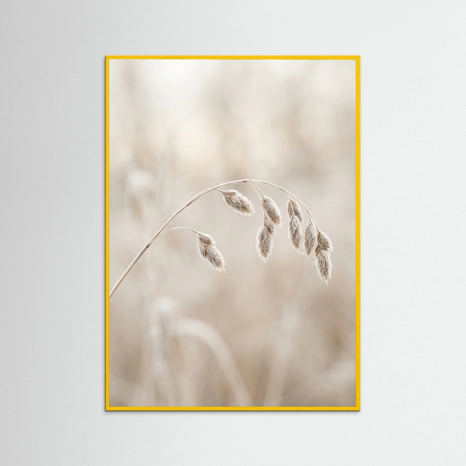 Yellow Wood Winter Whispers