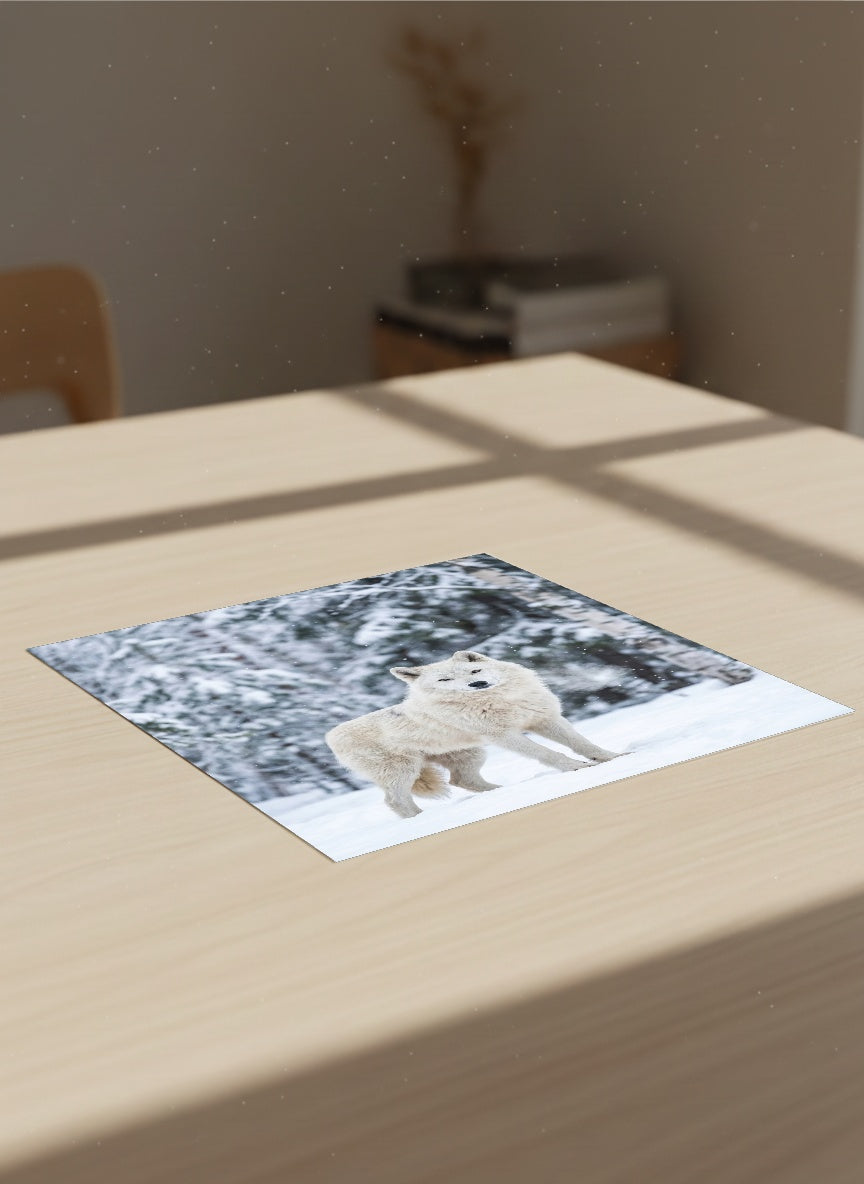 Auto-generated Mockup