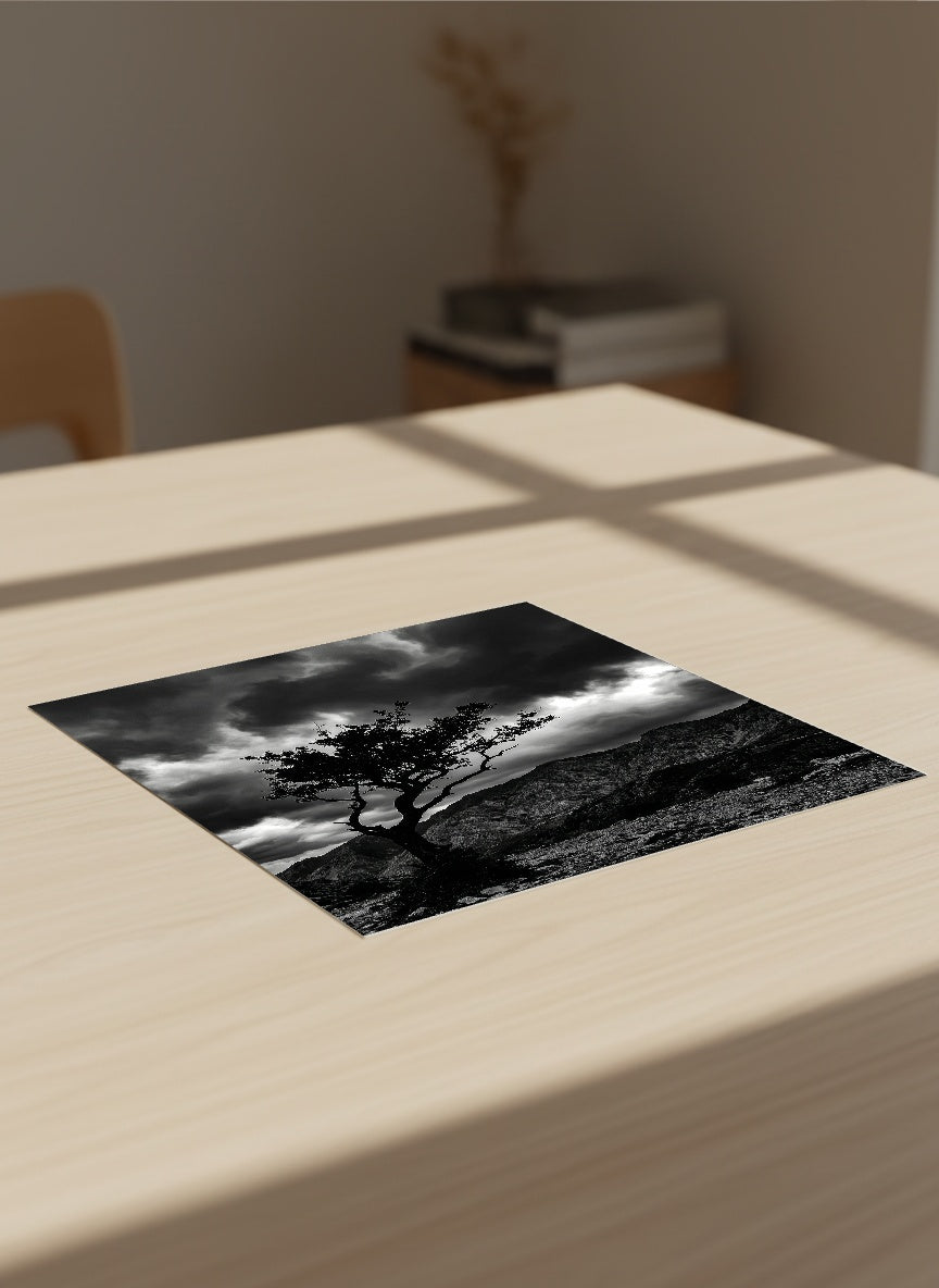 Auto-generated Mockup