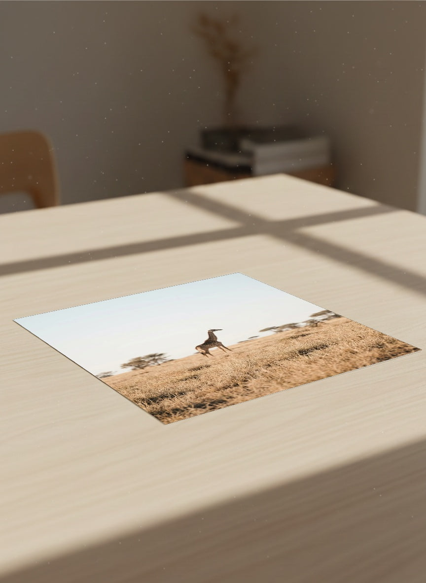 Auto-generated Mockup