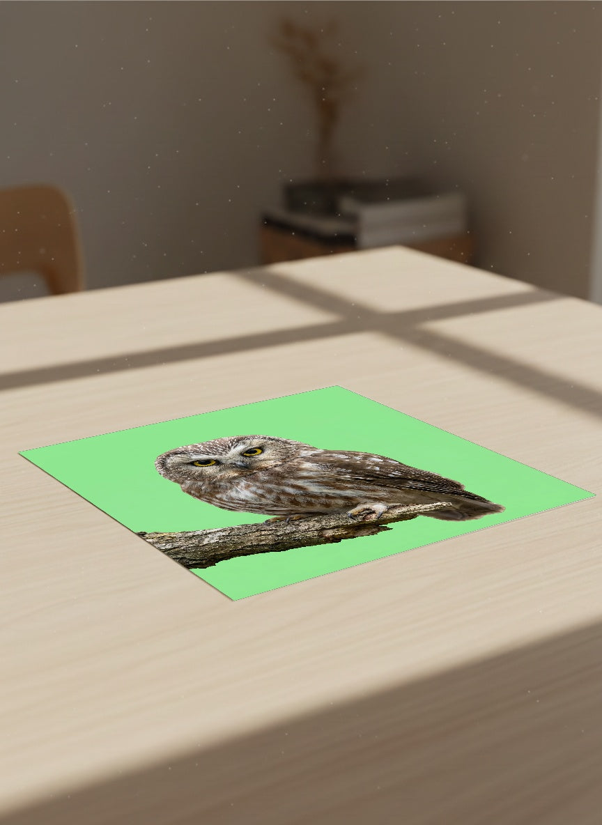 Auto-generated Mockup