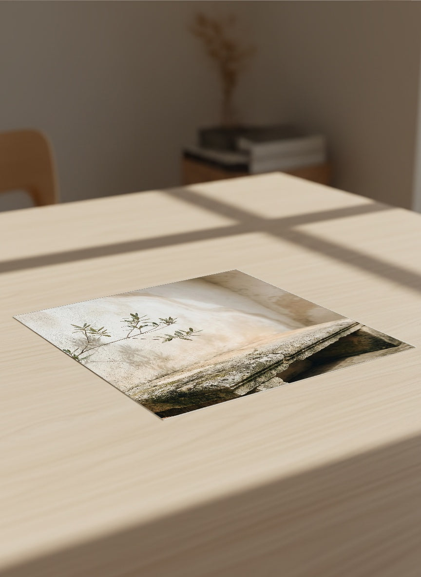 Auto-generated Mockup