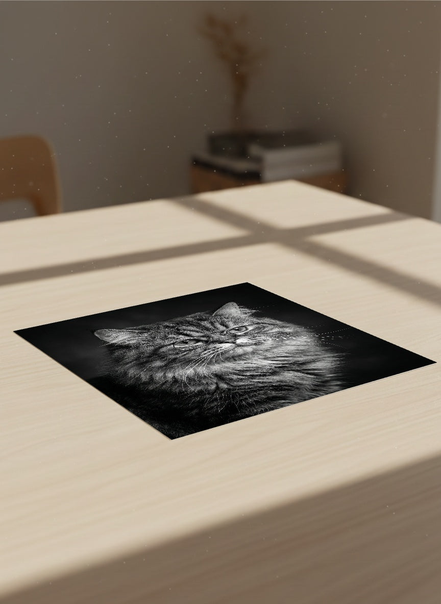 Auto-generated Mockup