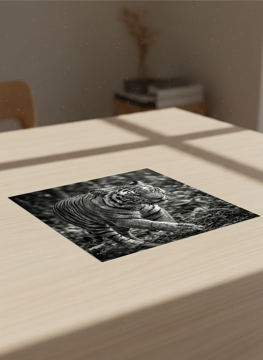 Auto-generated Mockup
