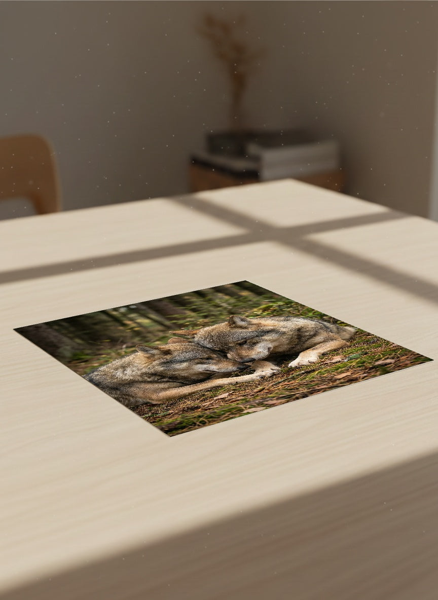 Auto-generated Mockup