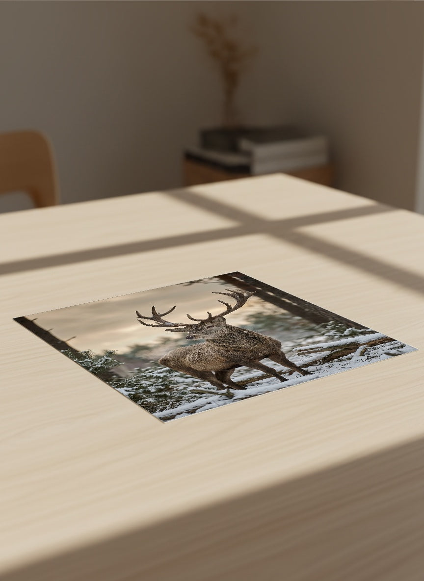 Auto-generated Mockup