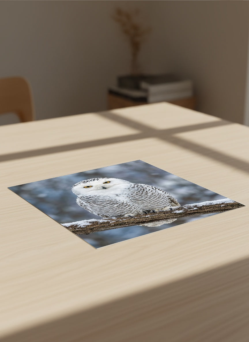 Auto-generated Mockup