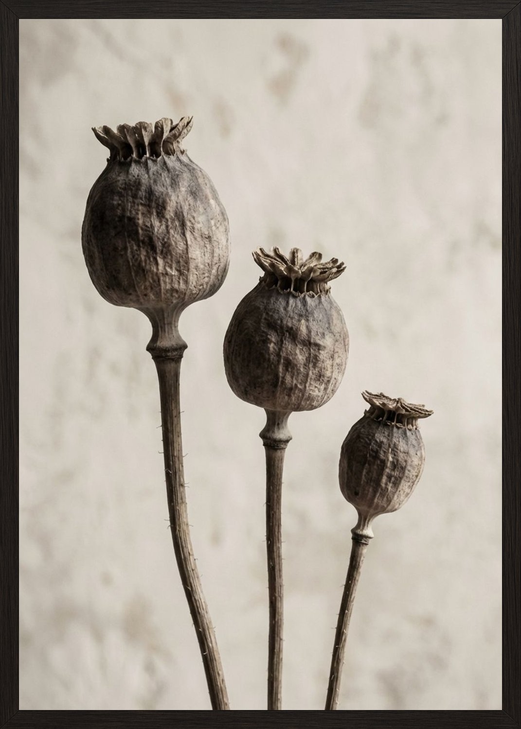 Poster in black frame