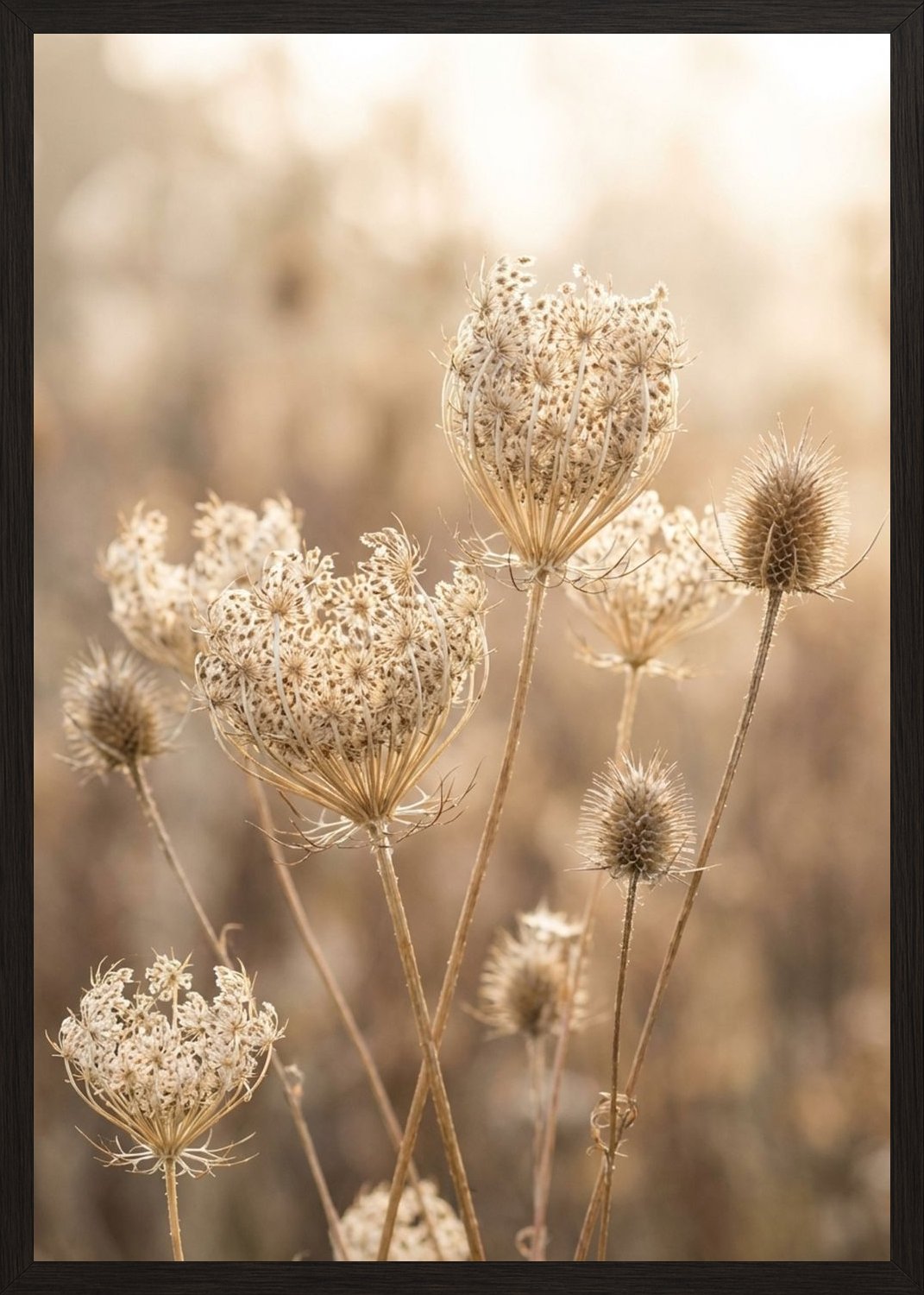 Poster in black frame