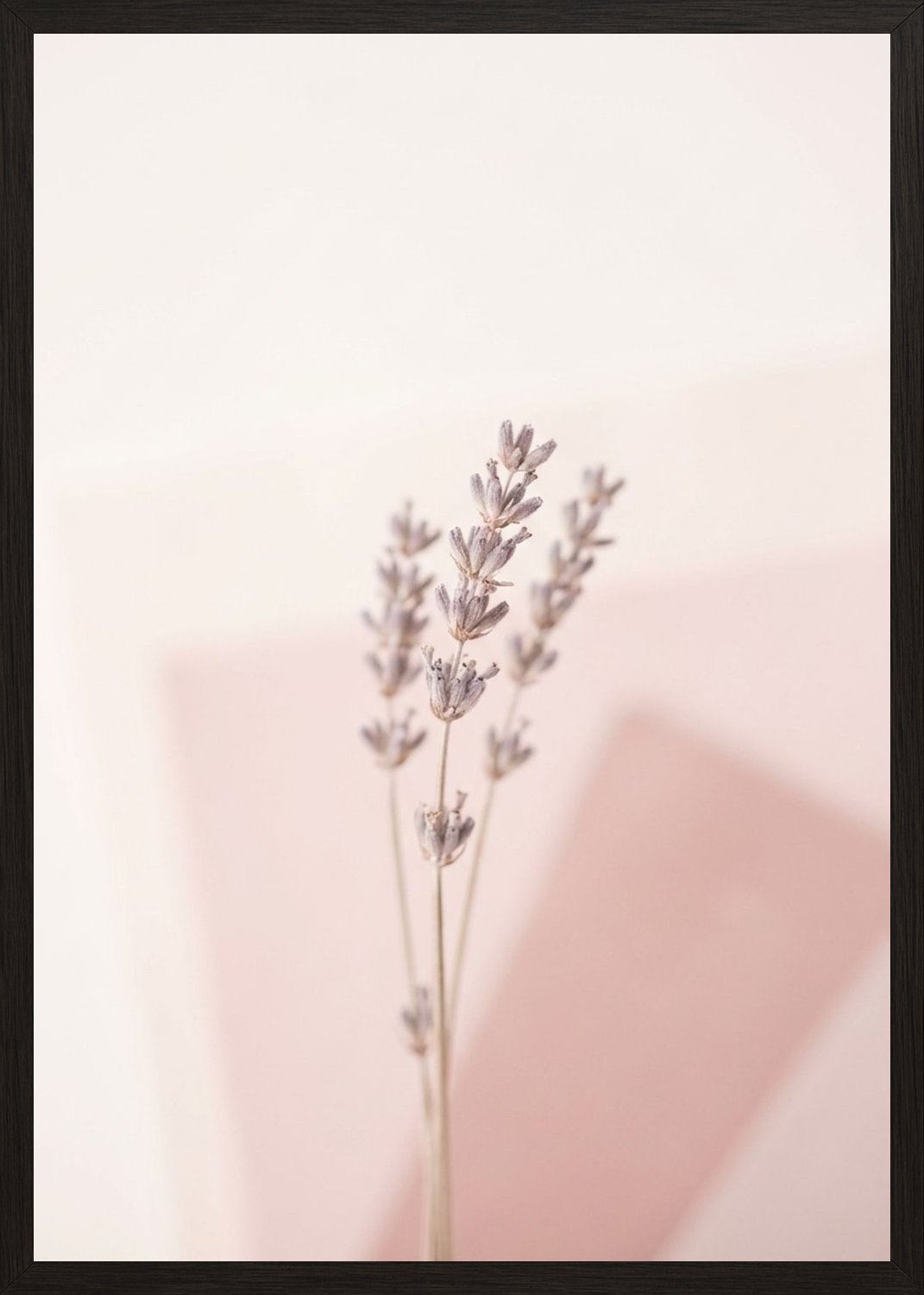 Poster in black frame