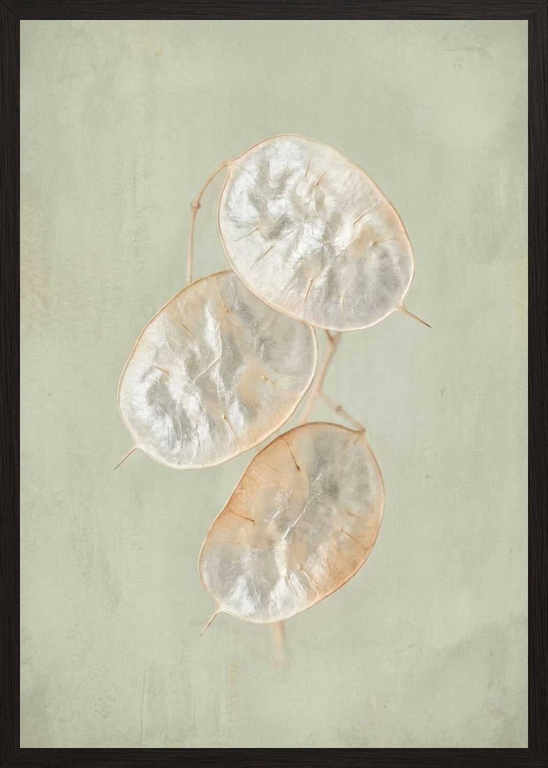 Poster in black frame