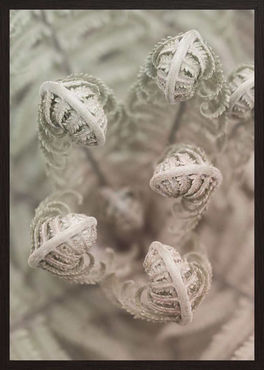 Poster in black frame