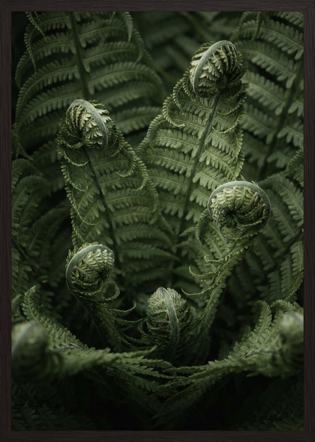 Poster in black frame