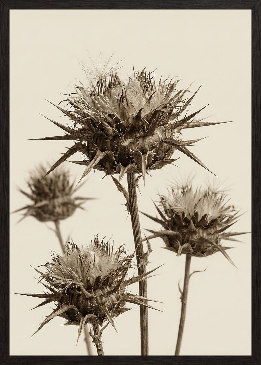 Poster in black frame