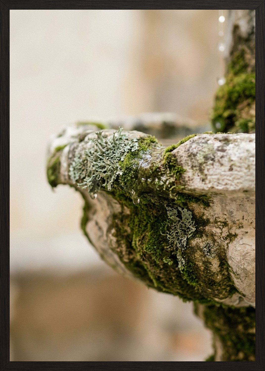 Poster in black frame