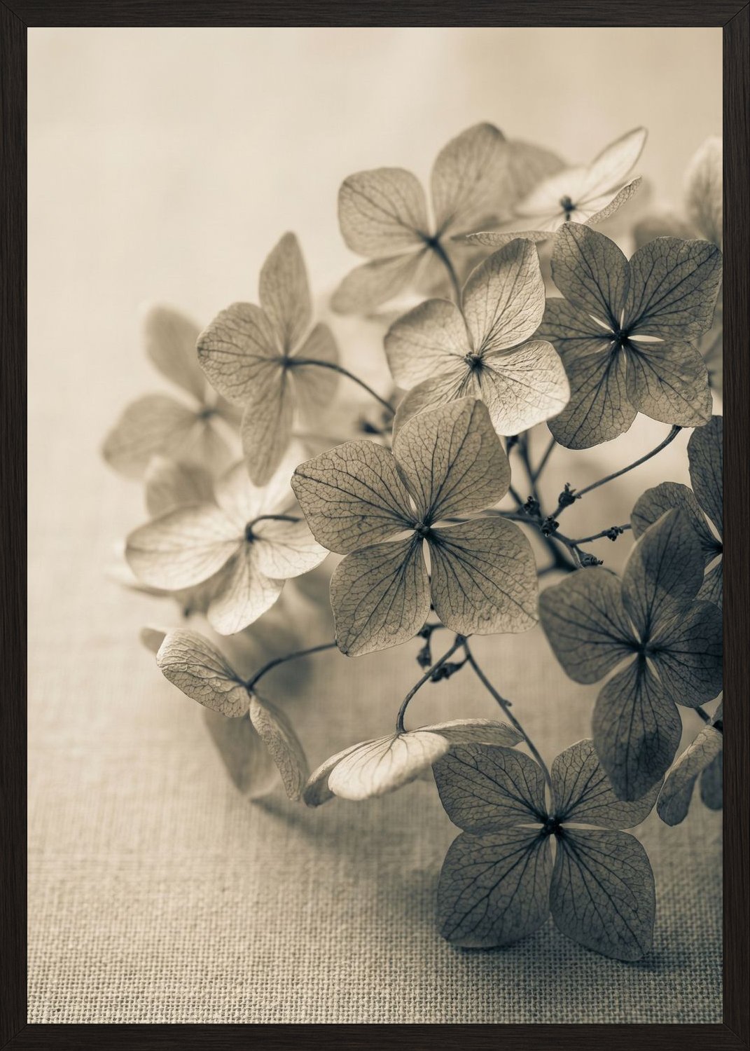 Poster in black frame