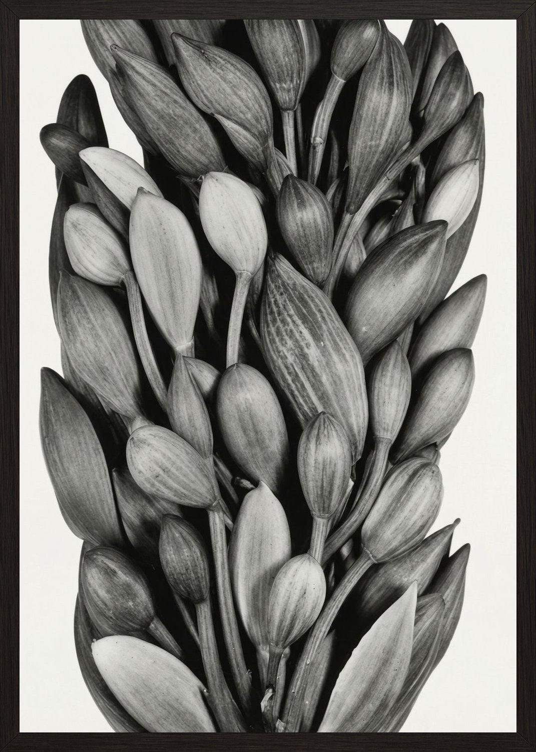 Poster in black frame