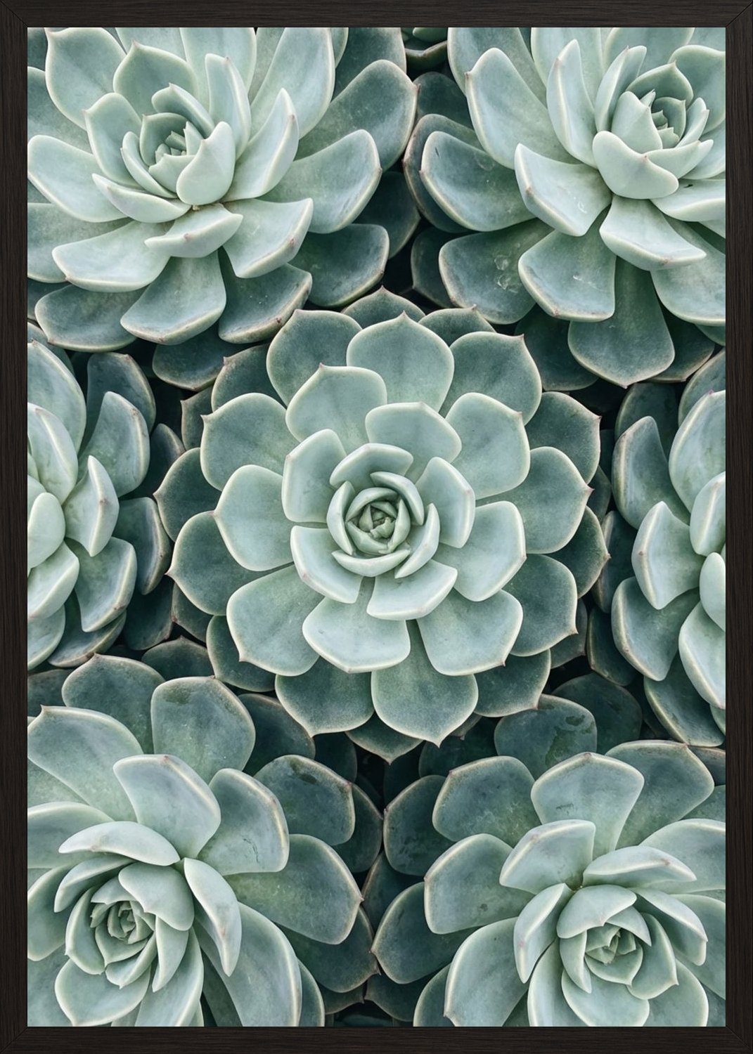 Poster in black frame