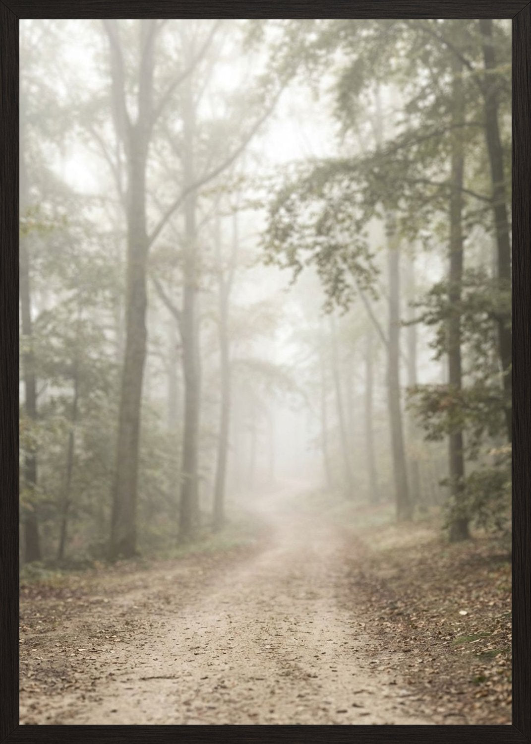 Poster in black frame