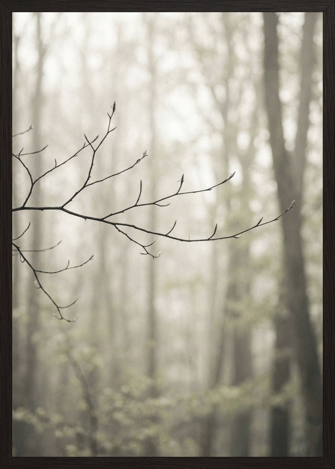 Poster in black frame