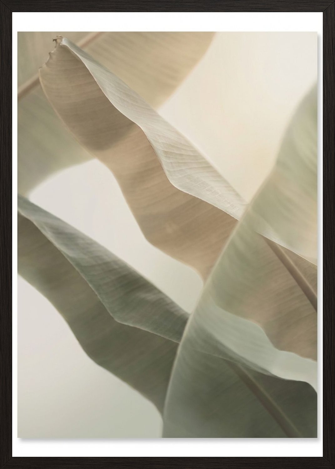 Poster in black frame