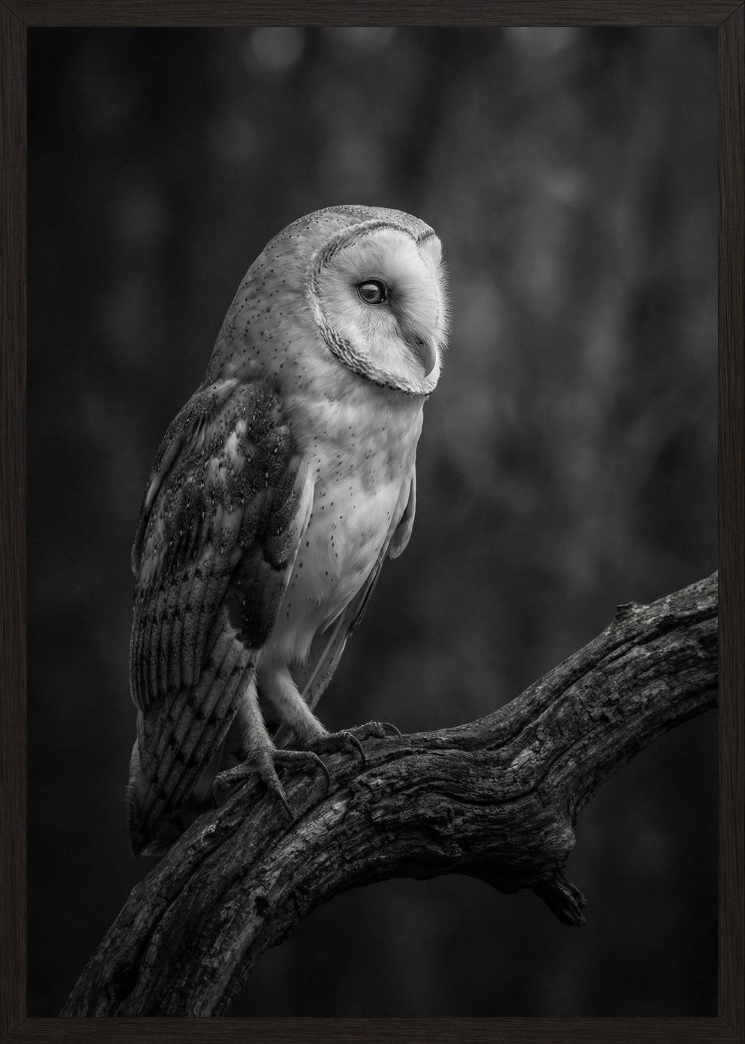 Poster in oak frame