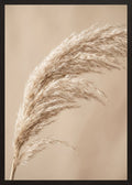 Poster in black frame