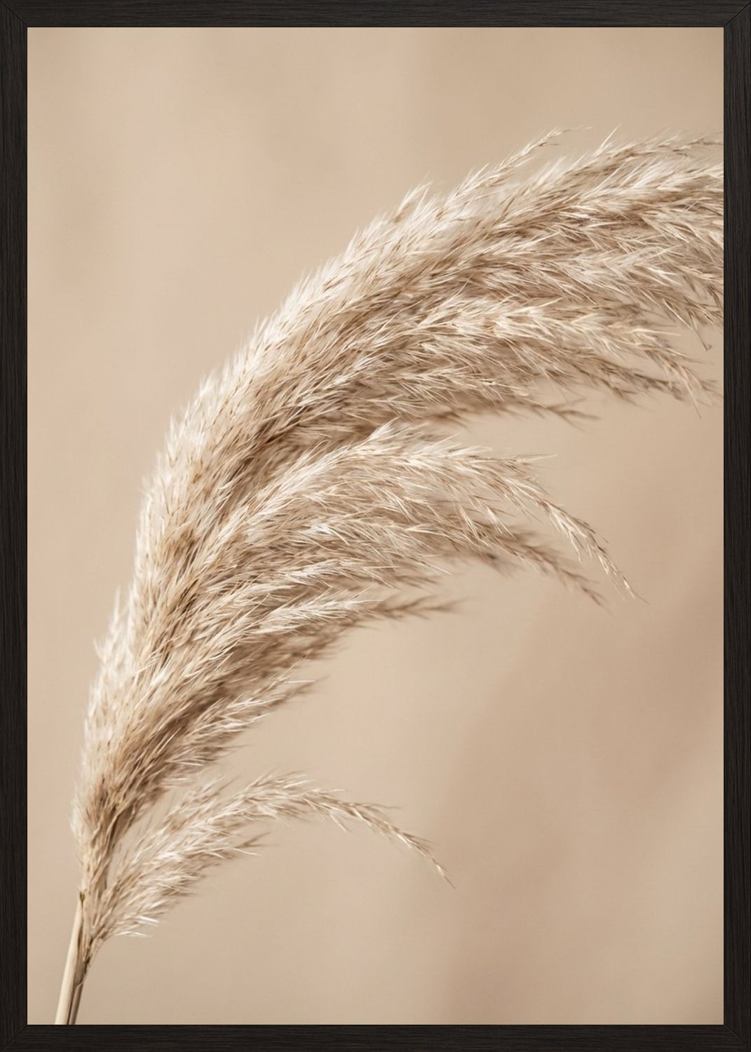 Poster in black frame